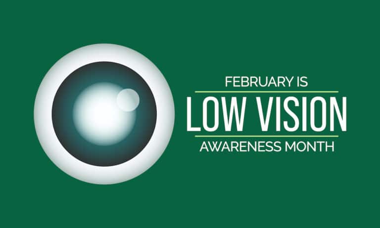 National AMD age related Macular Degeneration and Low vision awareness month observed each year during February.